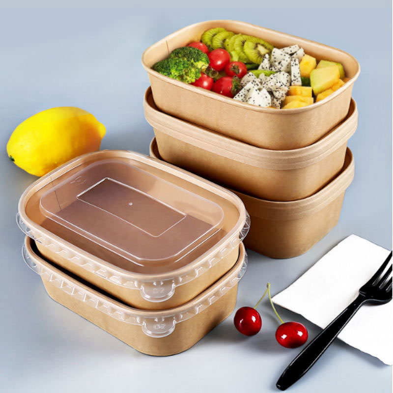 Windowless Kraft Rektang Bowl Papye